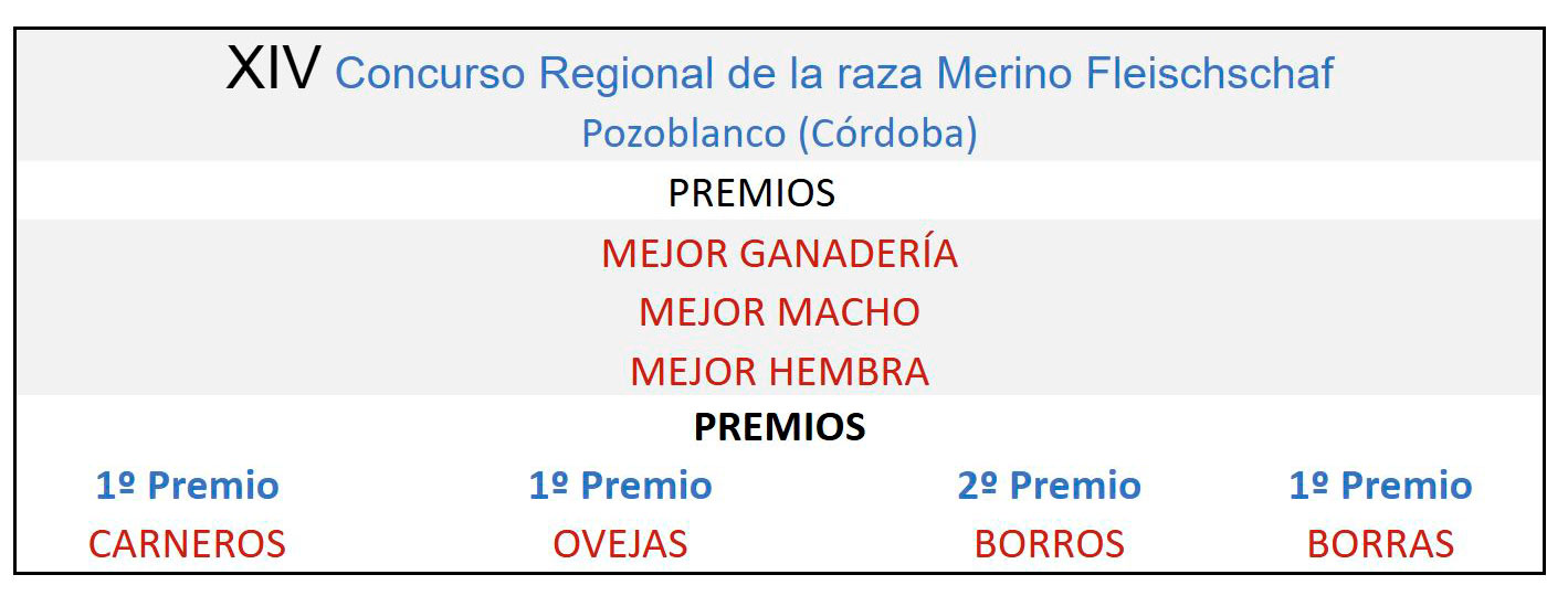 X Concurso Nacional de la raza Merino Fleischschaf Pozoblanco 2010