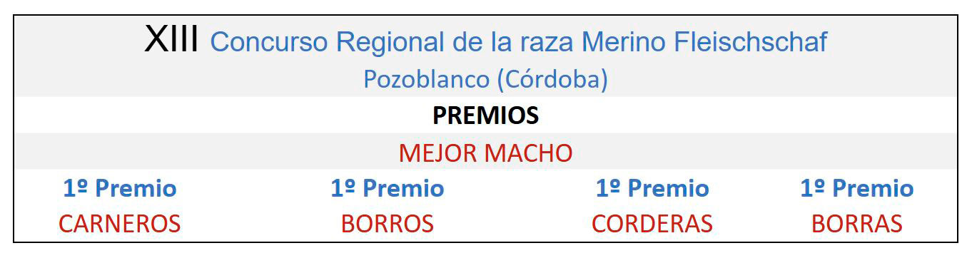 XIX Concurso Nacional de la raza Merino Fleischschaf Pozoblanco 2014