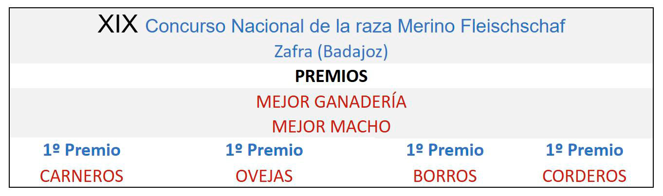 XIX Concurso Nacional de la raza Merino Fleischschaf Zafra 2014