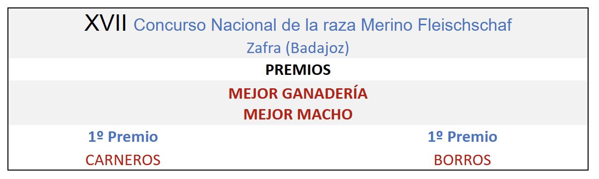 XVII Concurso Nacional de la raza Merino Fleischschaf Zafra 2012