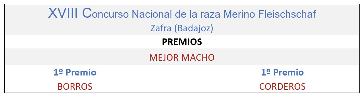 XVIII Concurso Nacional de la raza Merino Fleischschaf 2013