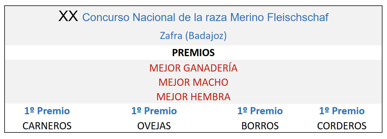 XX Concurso Nacional de la raza Merino Fleischschaf Zafra 2015