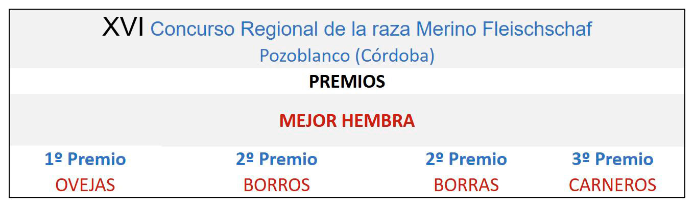 XXII Concurso Nacional de la raza Merino Fleischschaf Pozoblanco 2017