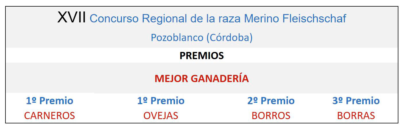 XXIII Concurso Nacional de la raza Merino Fleischschaf Pozoblanco 2018