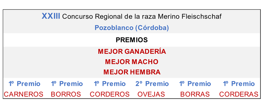 XXIII-Concurso-Regional-de-la-raza-Merino-Fleischschaf-Pozoblanco